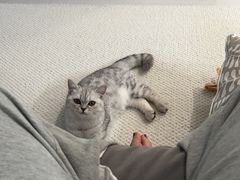 -派特宠物医院(圆融广场店)