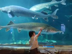 -华夏文旅海洋公园