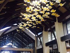 -昆明洲际酒店