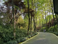 -宜兴龙背山森林公园