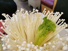 金针菇-浩爷羊蝎子火锅(双榆树店)