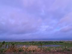 -七的湖·晚芳亭·阳澄湖农家菜·大闸蟹(莲花岛店)