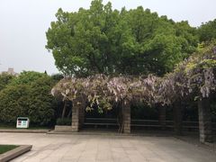 -宋庆龄陵园