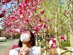 -石家庄市植物园