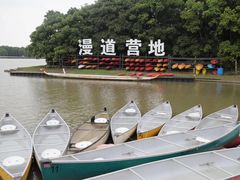 -上海海湾国家森林公园