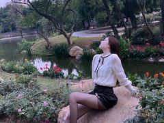 -人民公园(罗湖区)