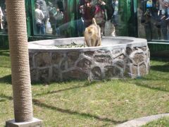 -西安秦岭野生动物园