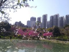 -堤角公园