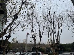 -辛亥革命博物院北区