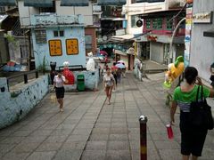 -猫咪博物馆(顶澳仔猫街店)