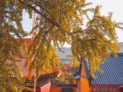 -宝通禅寺