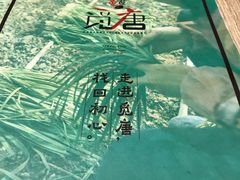 -觅唐MITONG(鸟巢店)