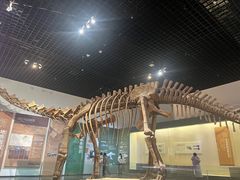 -衢州市博物馆