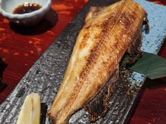 -九州酒场ひこぞう(1号店)