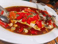 翘嘴鲌鱼-丹江渔村(望京店)