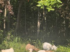 -句容茅山景区