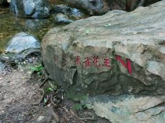 -牛鱼嘴原始生态风景区