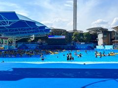 -杭州浪浪浪水公园
