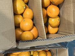 -青岛香格里拉中心办公大楼