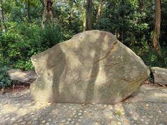 -上海佘山国家森林公园天马山园