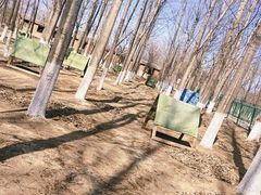 -亲兄弟真人CS团建拓展基地