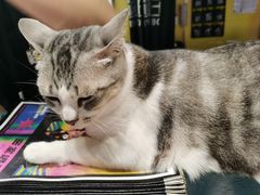-谜盒子奇幻密室(南屏店)