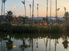 -枫香湖儿童公园