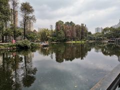 -晓港公园