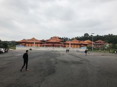 -三水森林公园