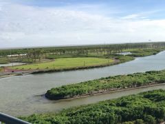 -春花秋色城市公园