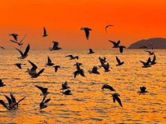 -麓舍全景太湖温泉别墅团建拓展会议亲子