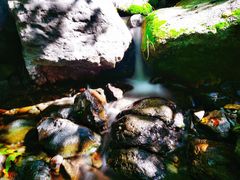 -云岫谷游猎自然风景区