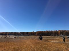 -塞罕坝国家级自然保护区