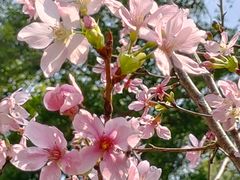 -桃花涧