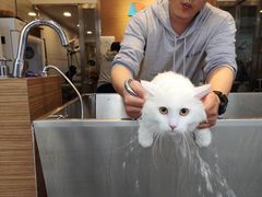 -PETKIT小佩宠物(古北店)