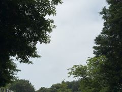 -海珠湖公园