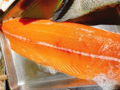 整条三文鱼-鱼市酒店(威海水产批发市场店)