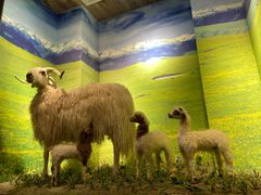 -清真·益鑫羊肉手抓馆(花园北街店)