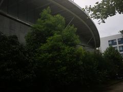 -同济大学四平路校区游泳馆