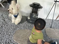 -J Create城市露营咖啡·简餐·宠物(上海动物园店)