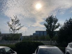 -利群胶州购物广场(澳门路店)