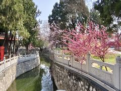 -莲池书院博物馆