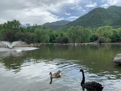 -西安秦岭野生动物园