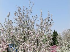 -元大都城垣遗址公园