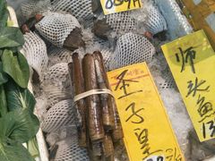 -有腥气私房菜·寻味顺德