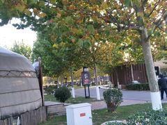 -九十九顶毡房(阜石路店)