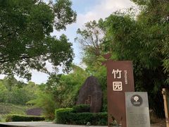 -中山市树木园