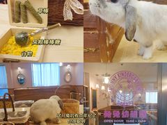-猫猫幼稚园·撸猫·桌游·电玩