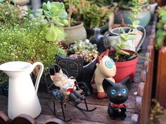 -IFIF 如果花園(宽厚里店)