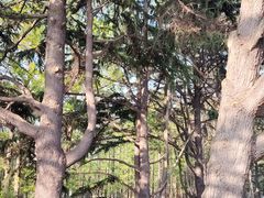 -汇泉广场
